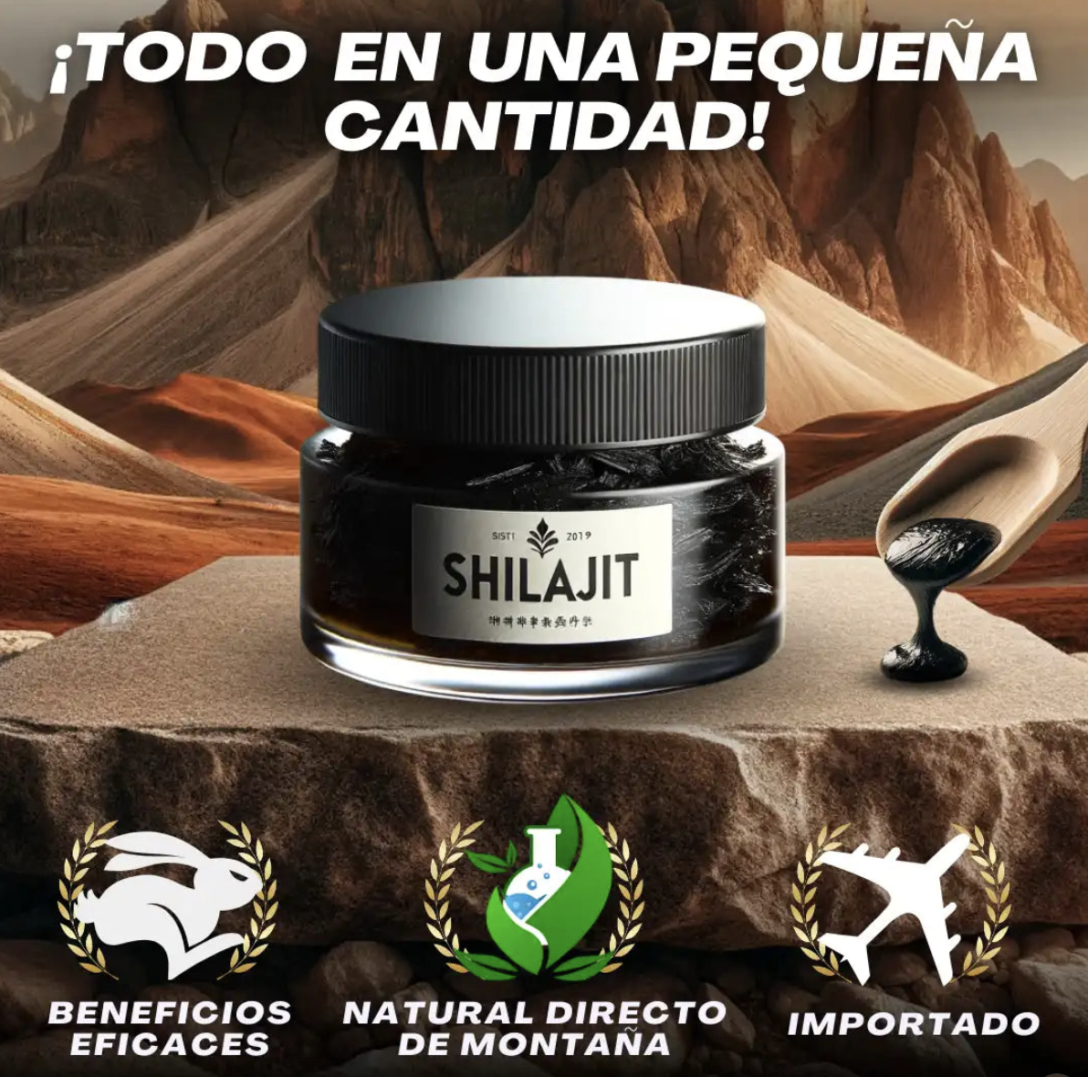 Shilajit Pemium Original (TK2)
