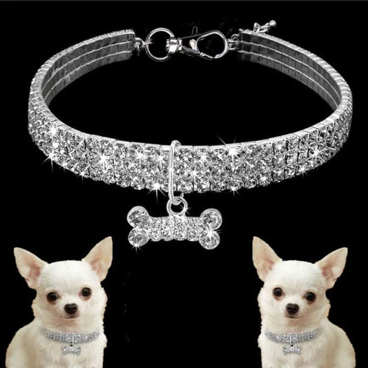 Collar Cristal para mascotas