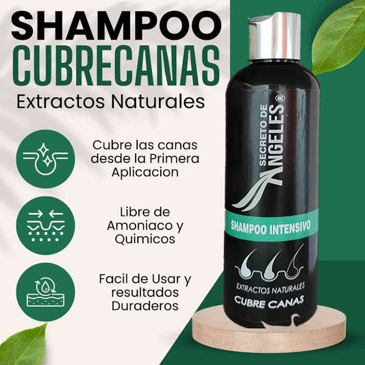 shampoo cubre canas - 50% DESCUENTO